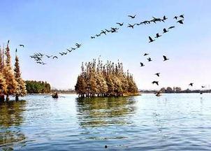 黄石东湖最新爆料,探寻自然与人文交融的生态奇迹” 第3张 黄石东湖最新爆料,探寻自然与人文交融的生态奇迹” 第3张